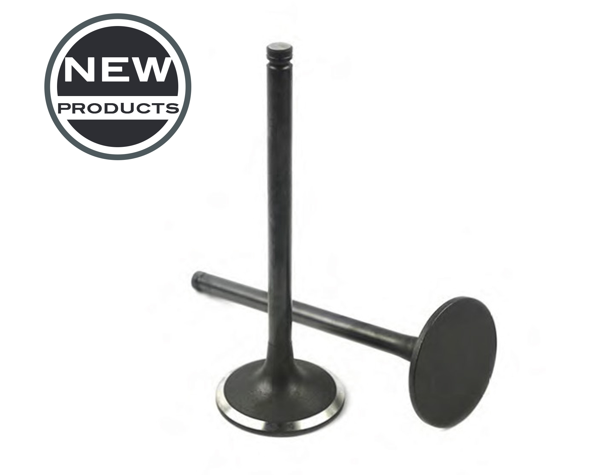 New Product Engine Valve Rich Parts Truck Parts